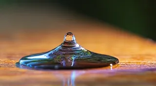 More Than Just Nails and Glue: The Alchemy of Wood